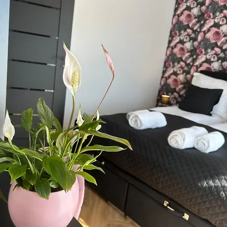Apartamento Ds